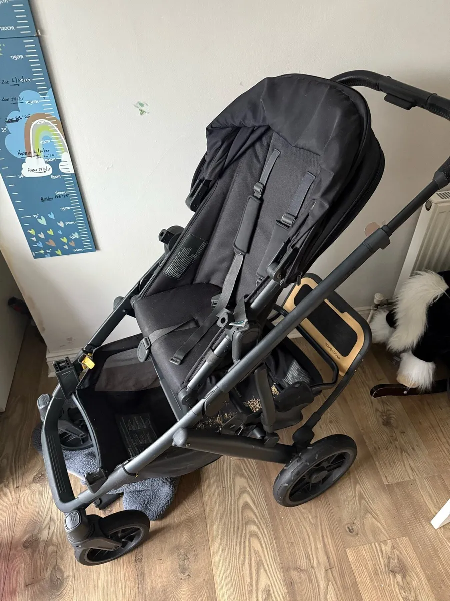 Vista v2 buggy with accessories - Image 1