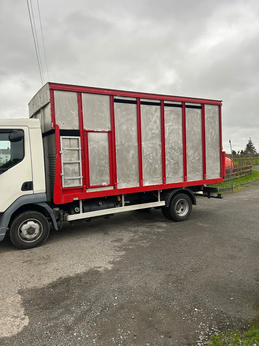 2008 DAF LF45.160 Livestock Truck - Image 4