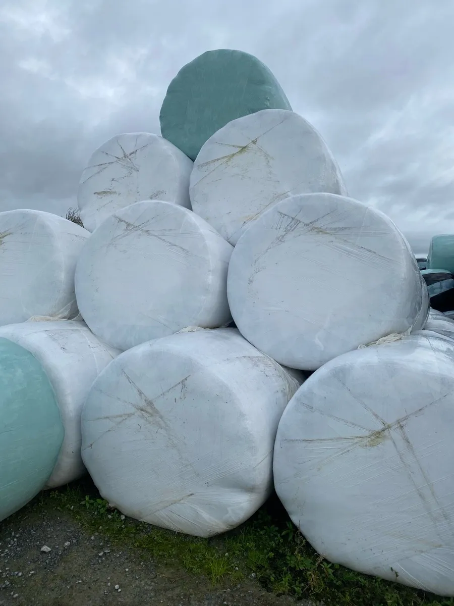 Round bales of well saved Hay & Haylage - Image 4