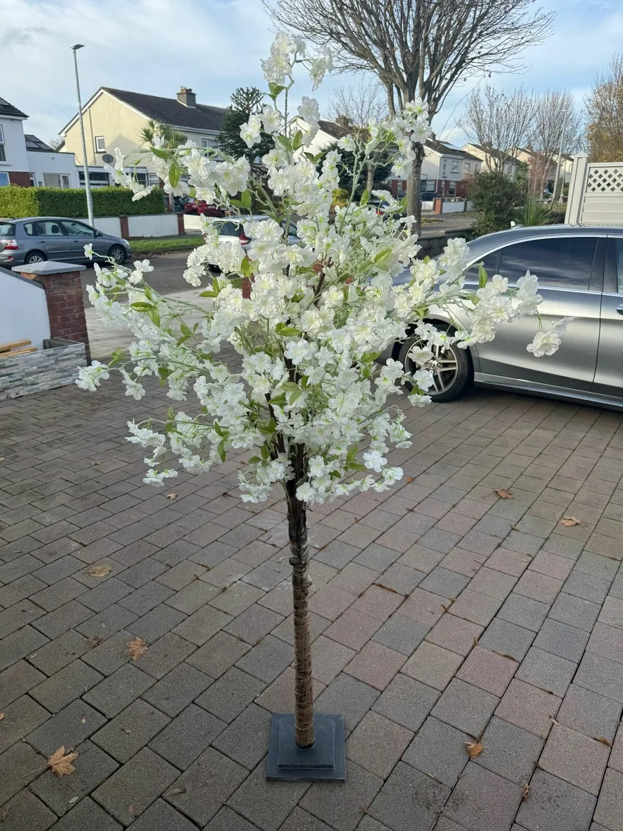 Apple blossom tree - Image 2
