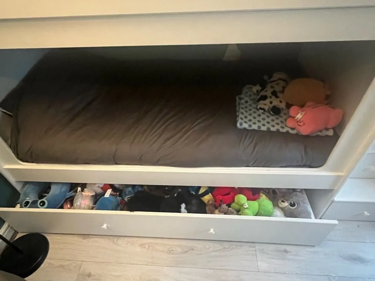 Bespoke Bunk Bed - Image 4