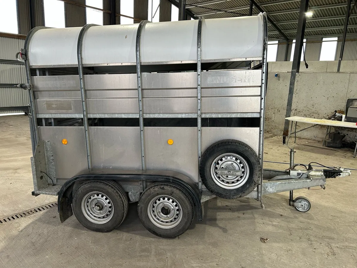 Nugent 8x5 cow box - Image 1