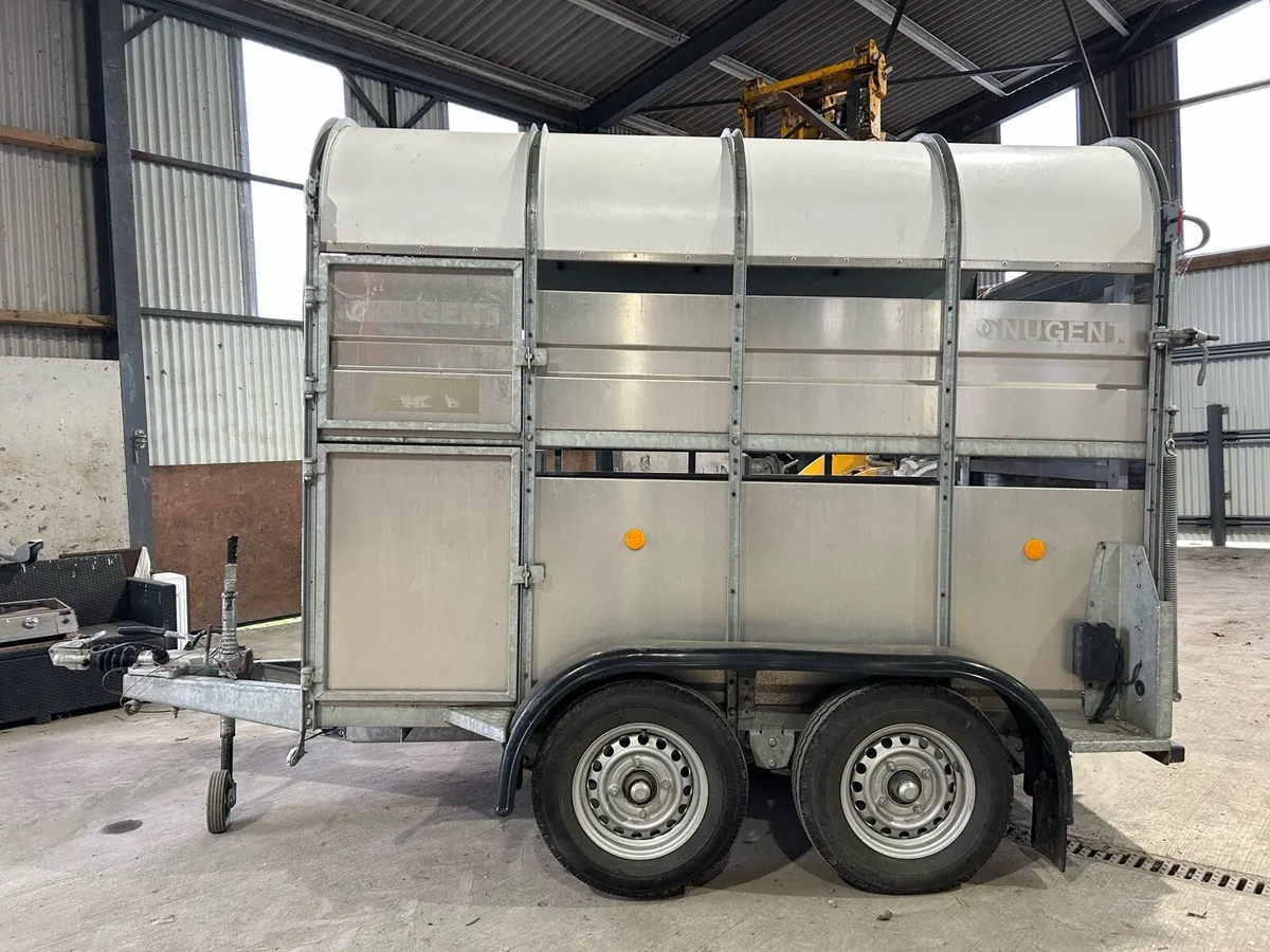 Nugent 8x5 cow box - Image 2