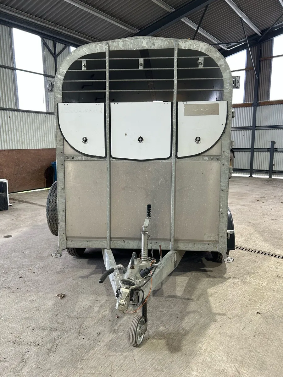 Nugent 8x5 cow box - Image 4