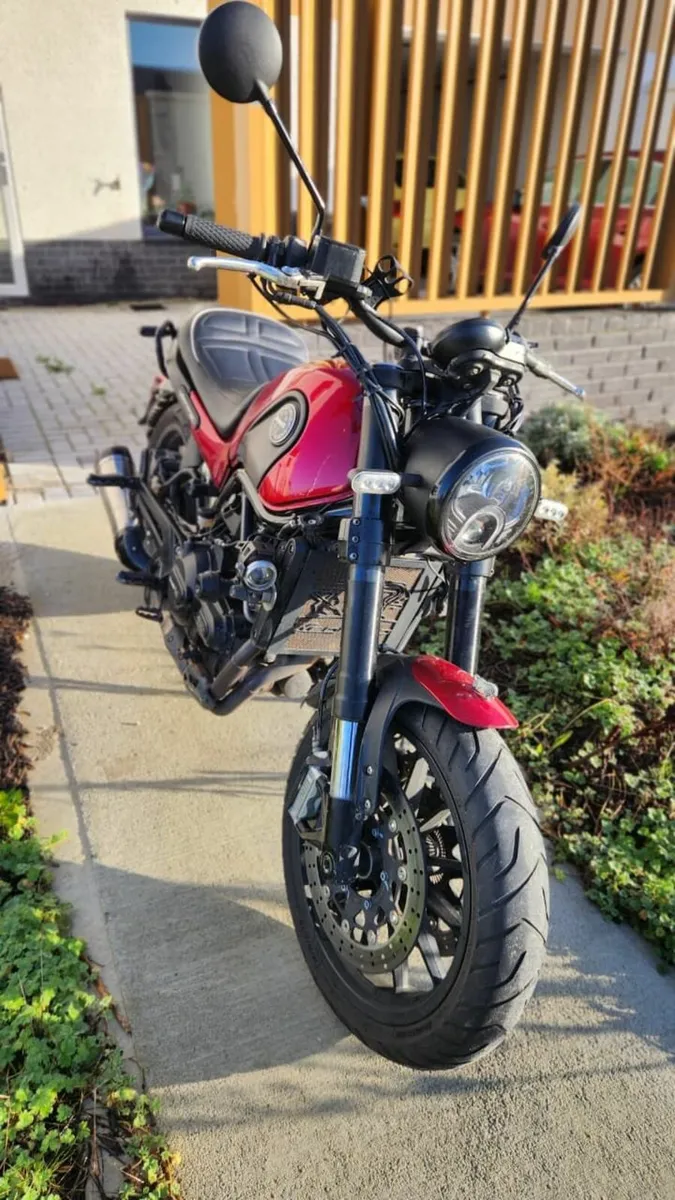 Benelli Leoncino 2019 - Image 2