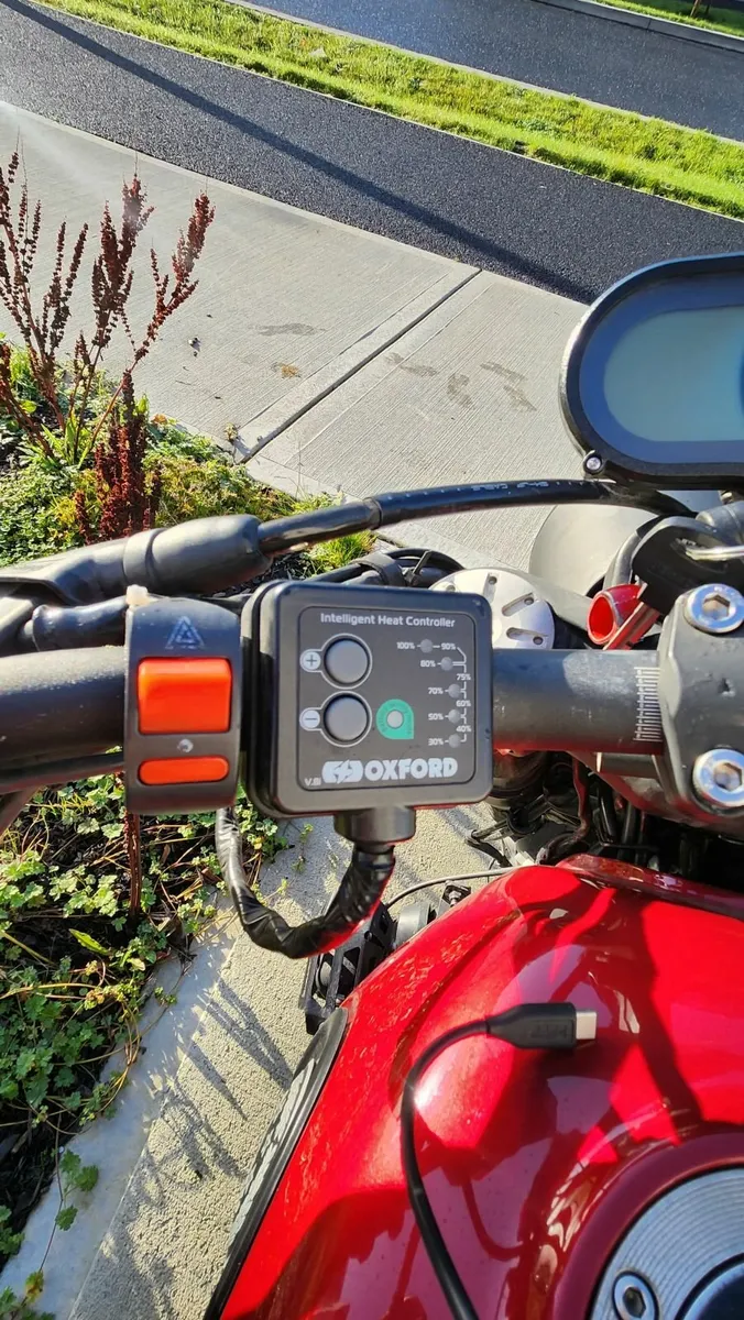 Benelli Leoncino 2019 - Image 4