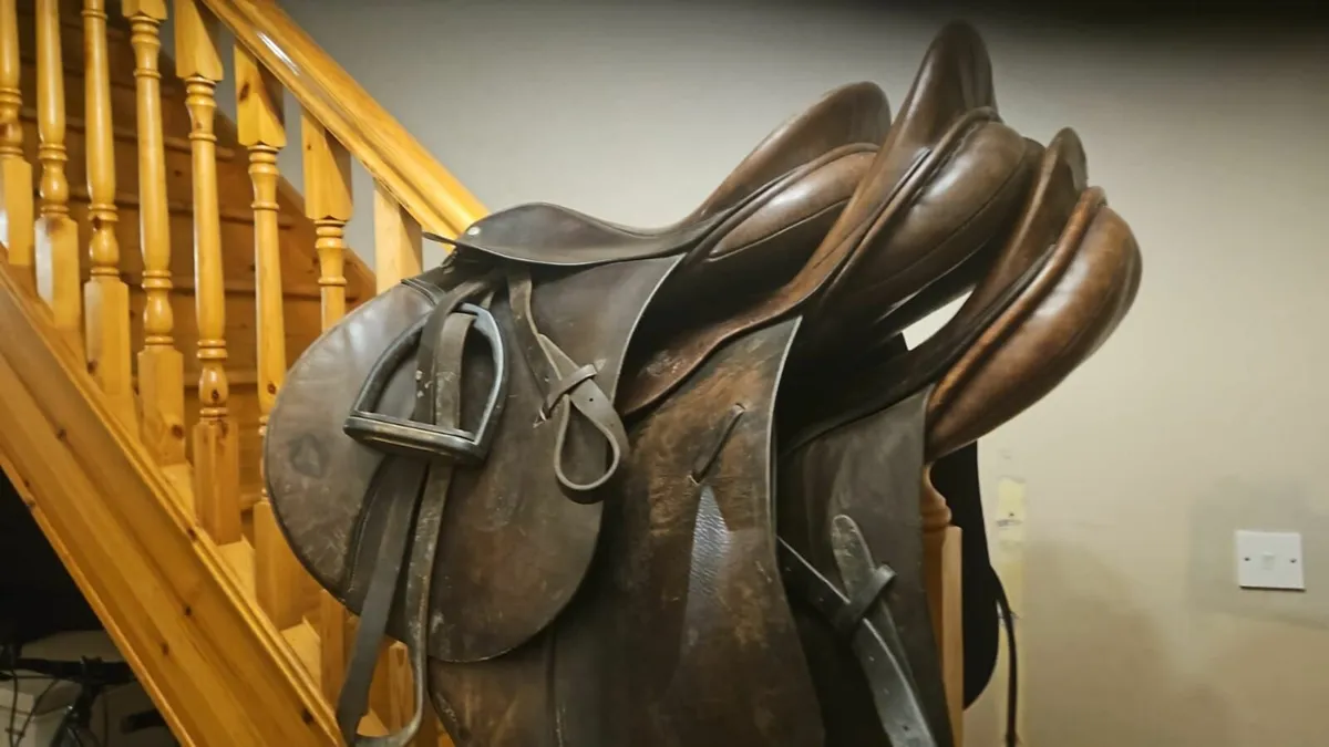 Saddles - Image 3
