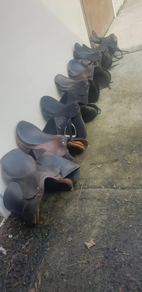 Saddles - Image 2