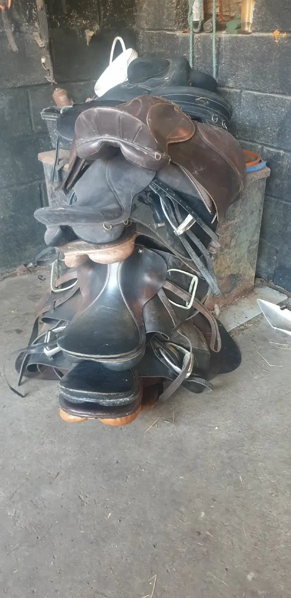 Saddles - Image 1