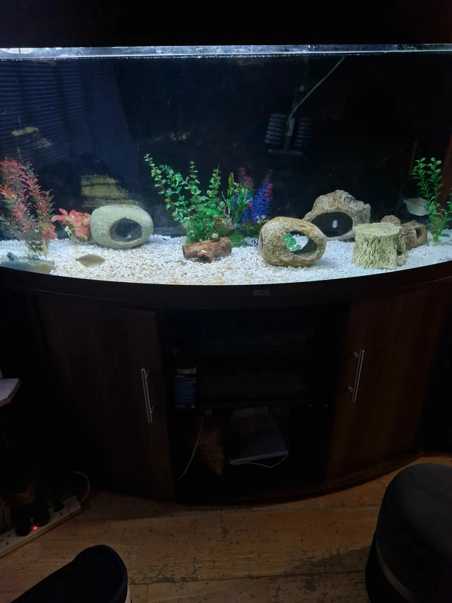 Jewel vision 450 litre mahogany aquarium - Image 2