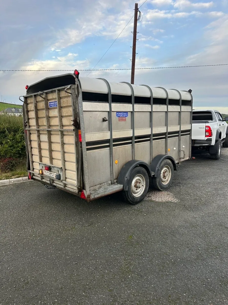 12ft cattle trailer - Image 2