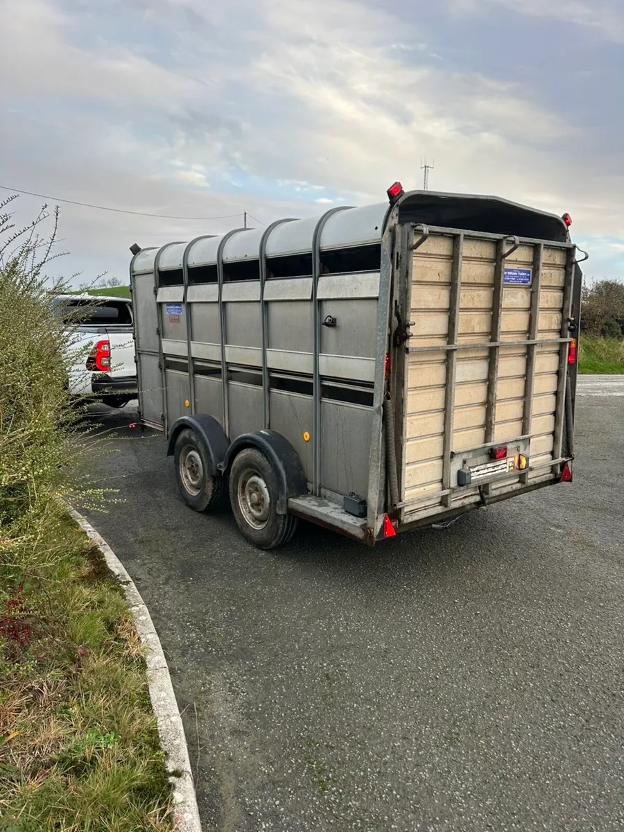 12ft cattle trailer - Image 3