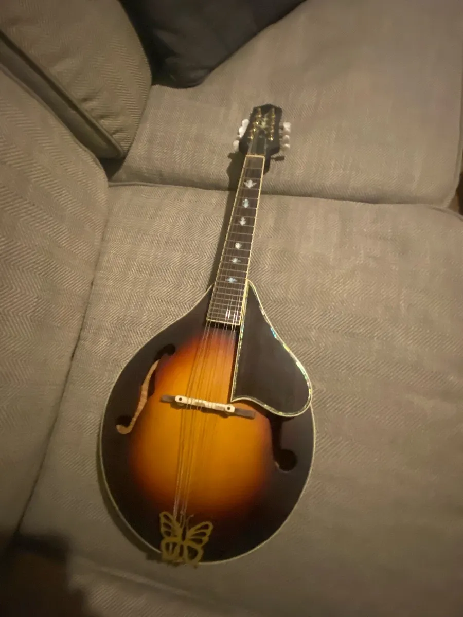 Handmade mandolin - Image 1