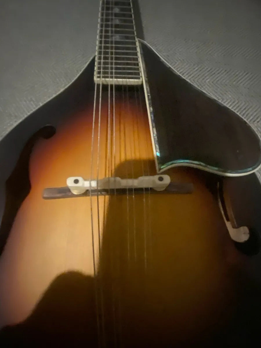 Handmade mandolin - Image 4