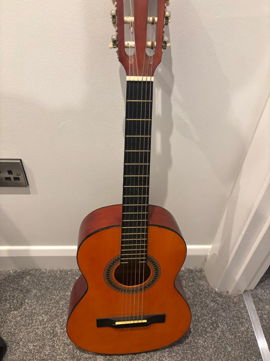 Guitar