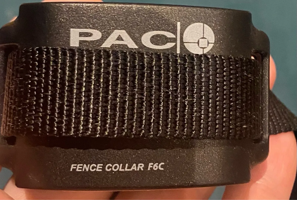 Electric dog collar - Image 2