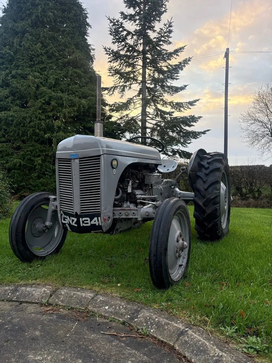 Ferguson T20 - Image 1