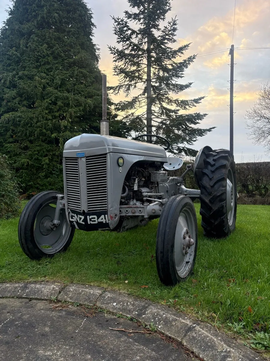 Ferguson T20 - Image 2