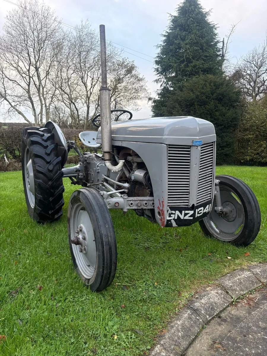 Ferguson T20 - Image 3
