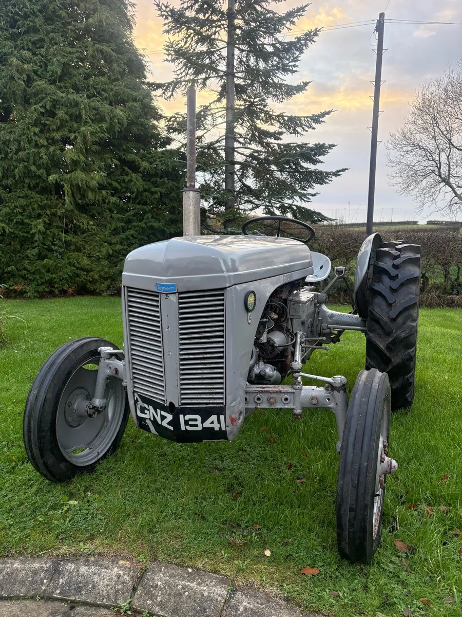 Ferguson T20 - Image 4