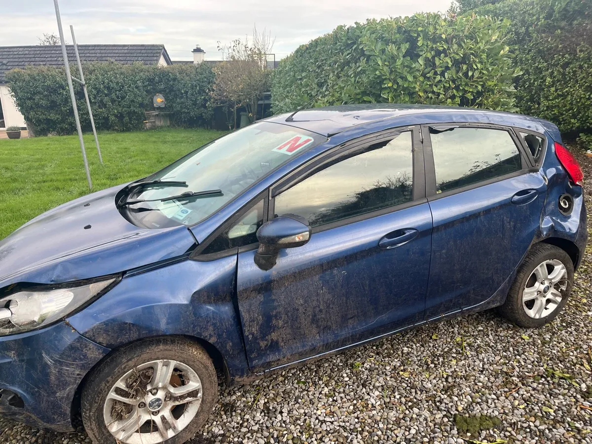 Ford Fiesta for breaking 2010 - Image 2