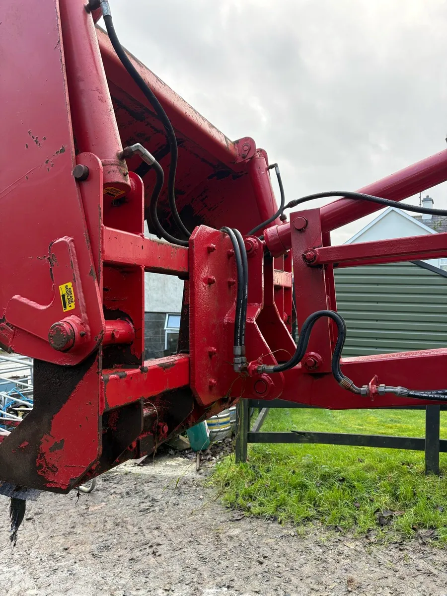 5Ft Sheargrab - Image 4