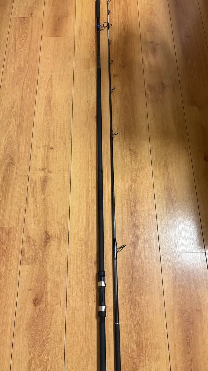 Century Beach Rod - Image 4