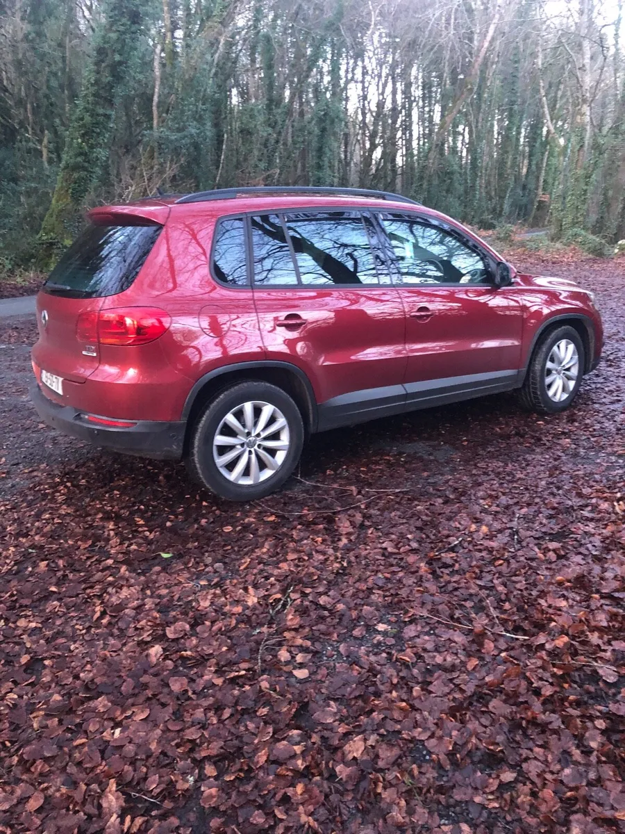 Volkswagen Tiguan - Image 2