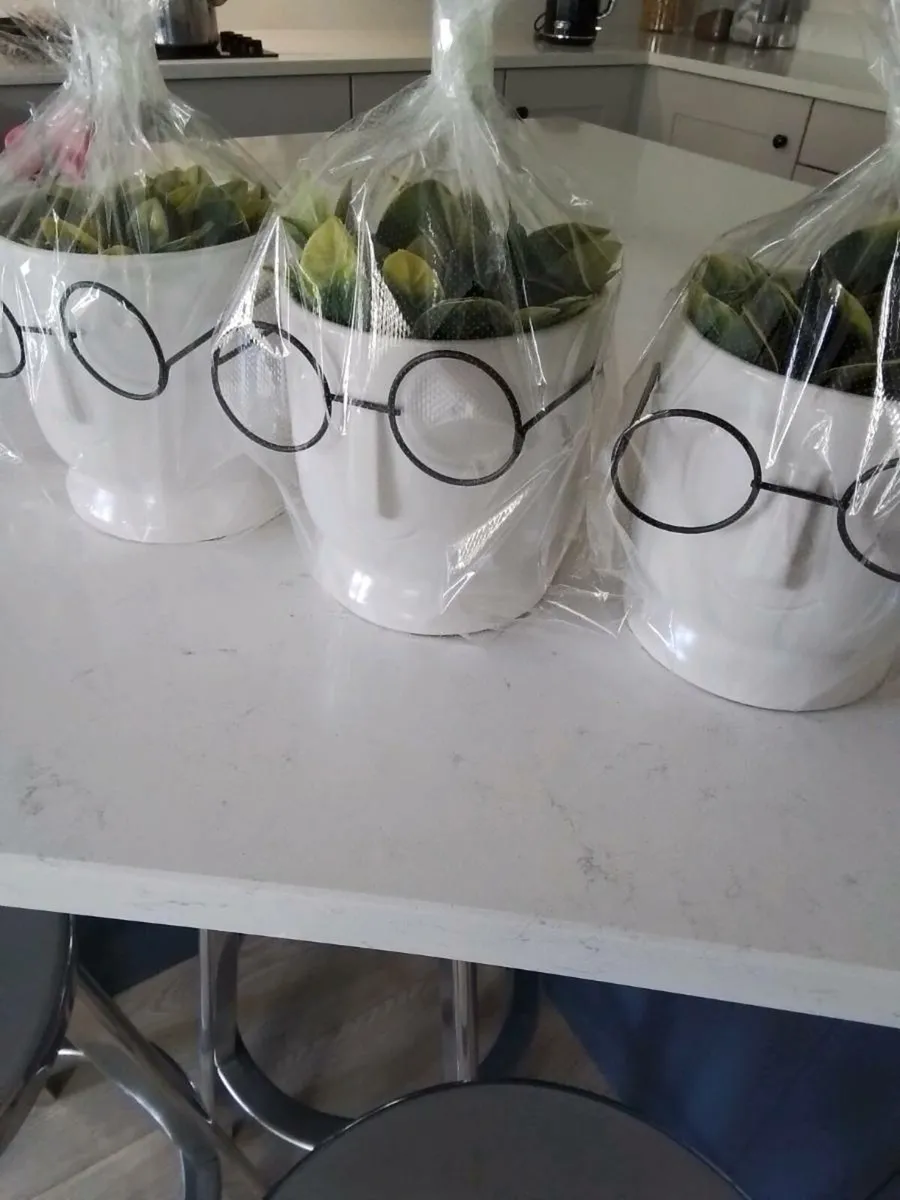 3 Ceramic face plant pots