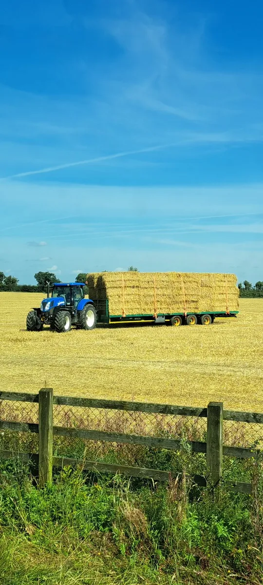 8x4x3 bales of straw