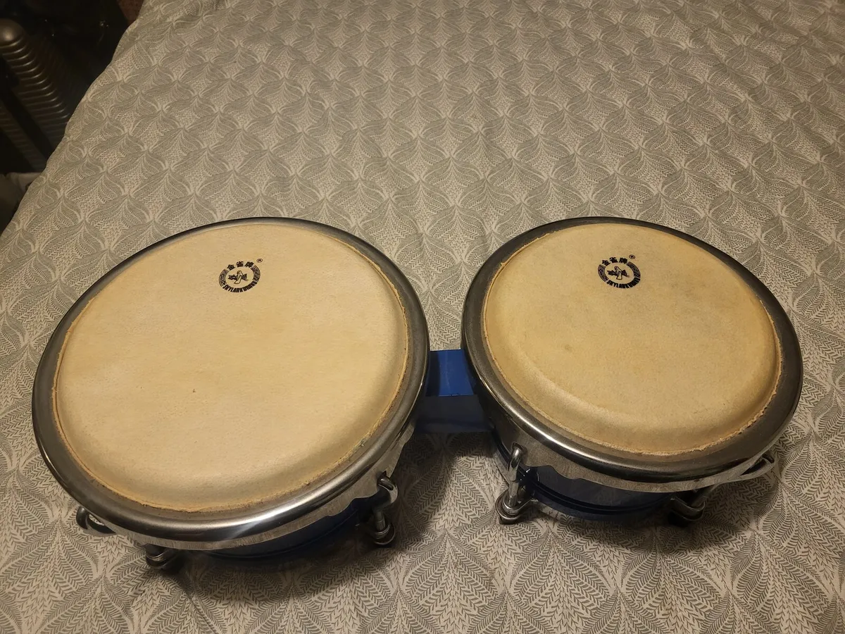Bongos - Image 2