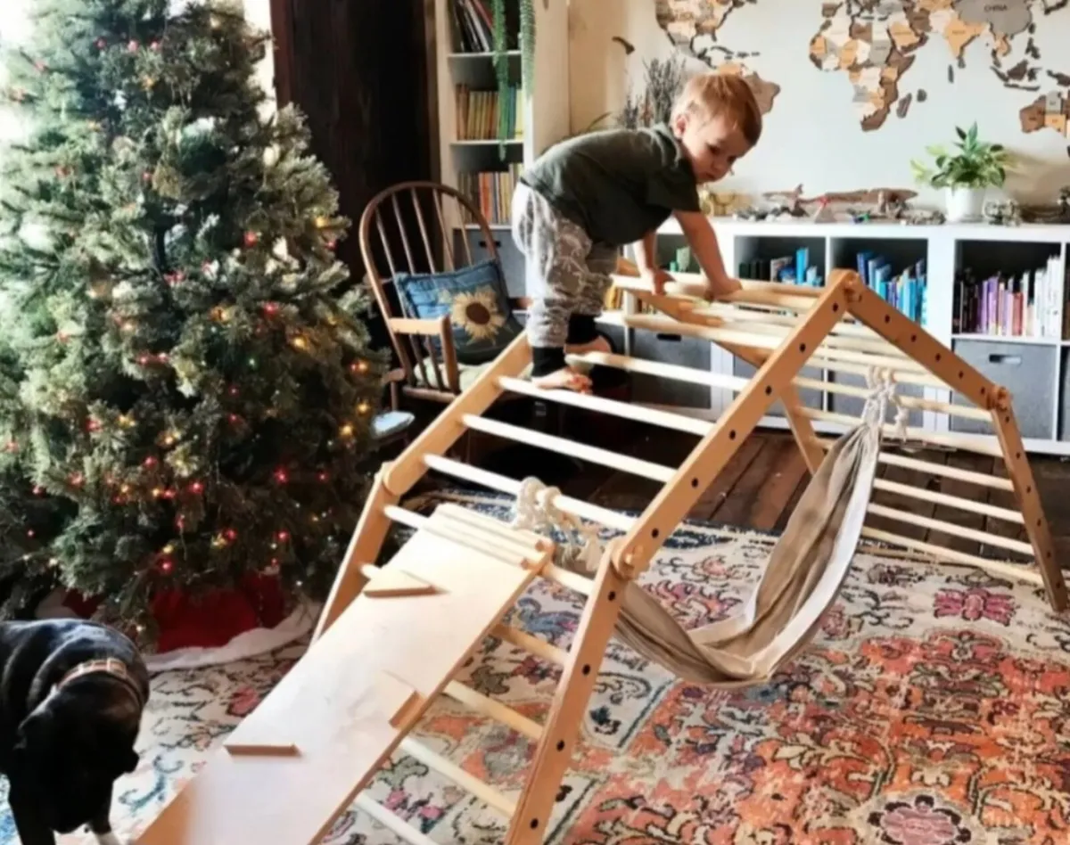 Transformable Pikler, Arch & Climbing Frame - Image 1