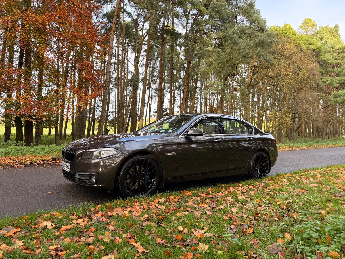 BMW 5-Series 2014 Diesel Saloon - Image 3