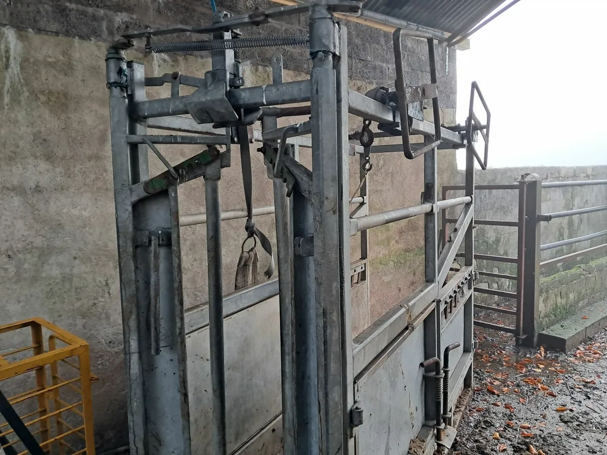 Cattle crush - Image 1