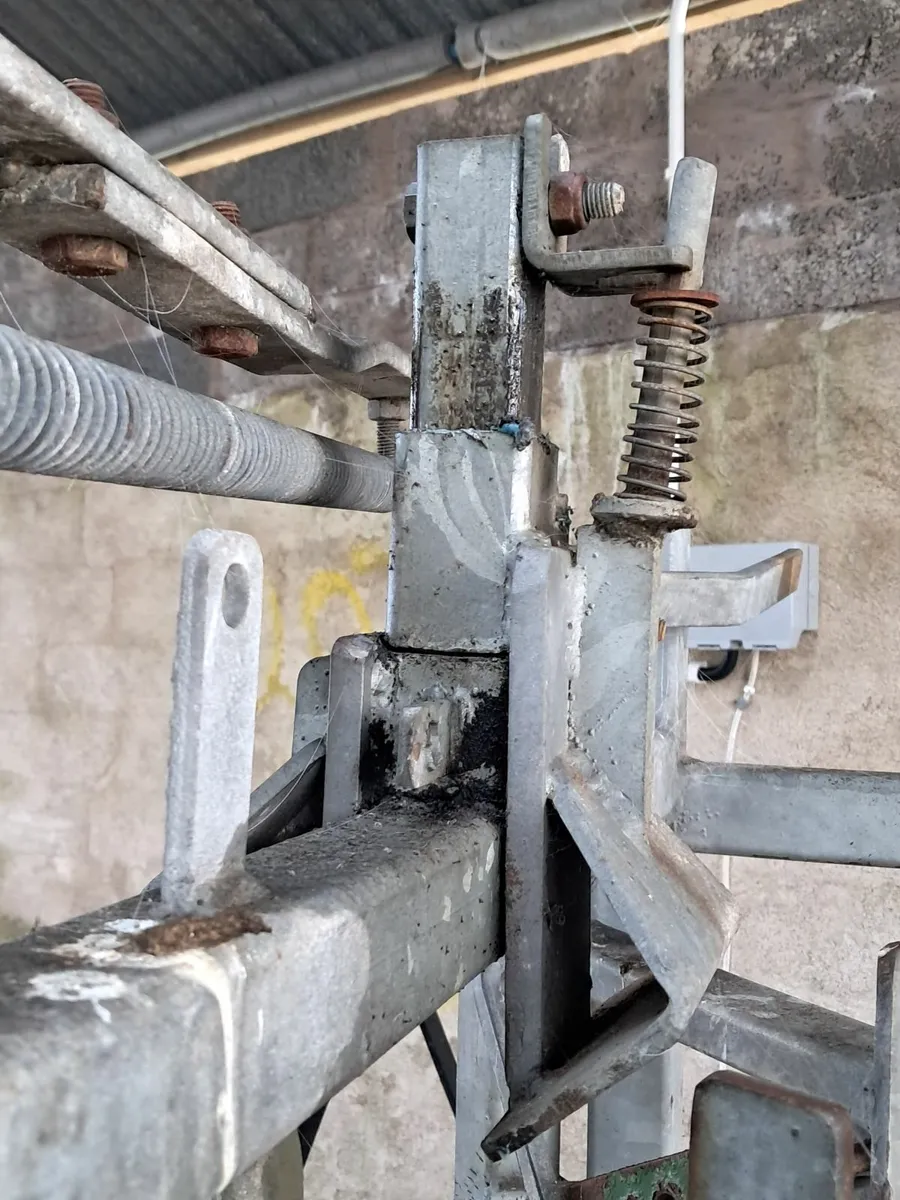 Cattle crush - Image 2