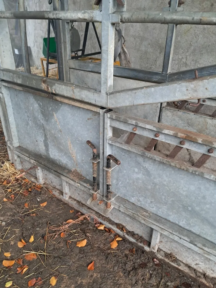 Cattle crush - Image 3