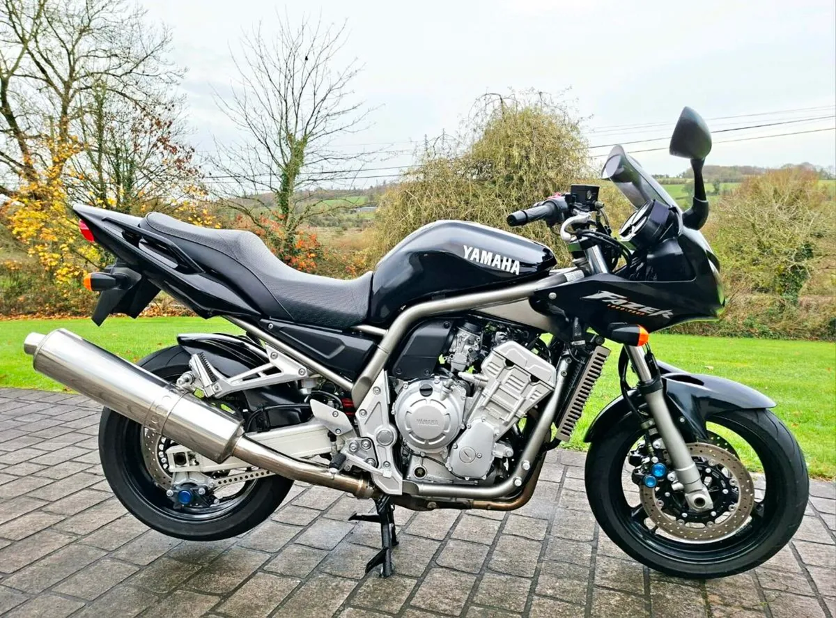 FZS1000 Fazer - Image 1