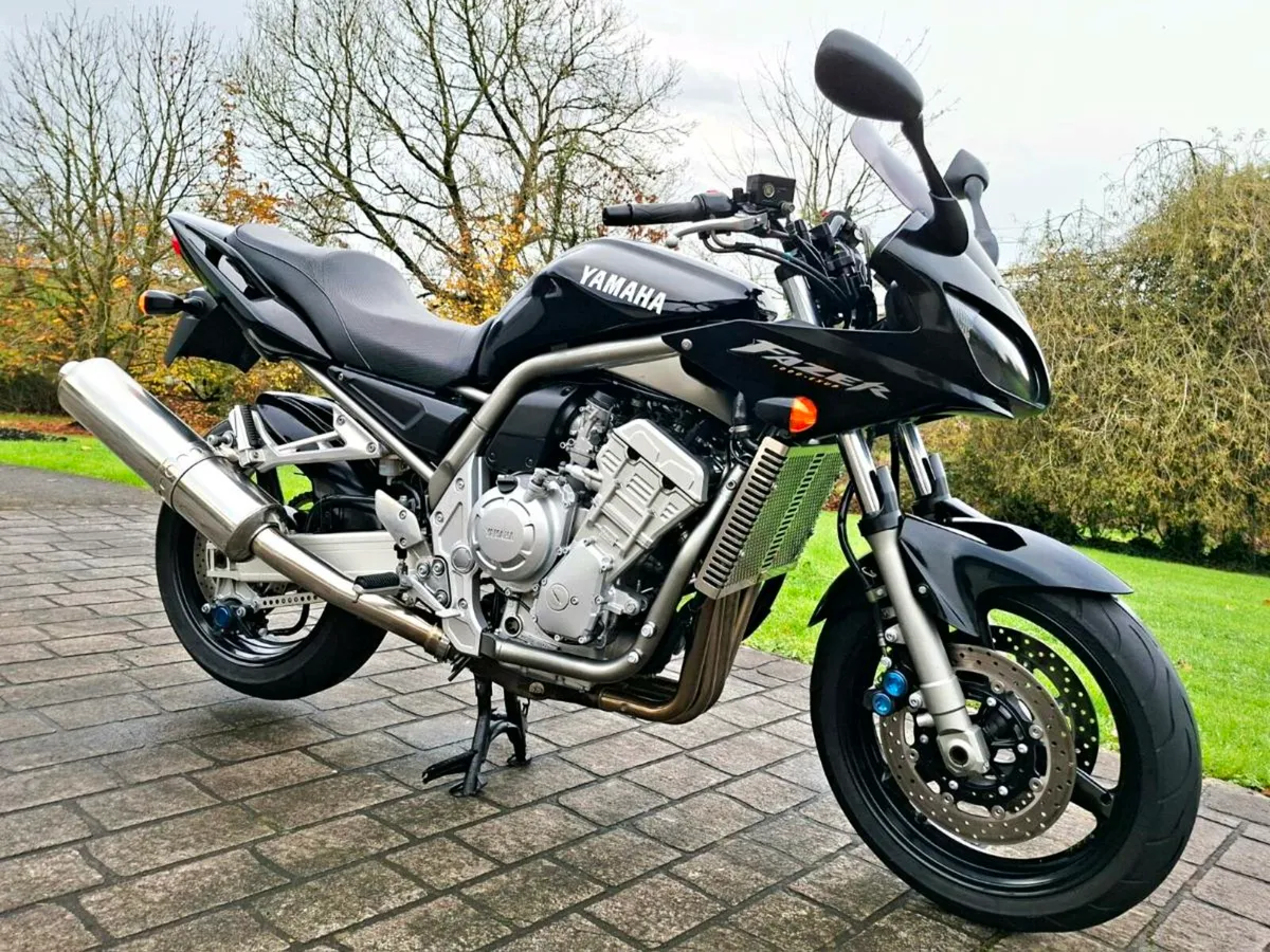 FZS1000 Fazer - Image 2