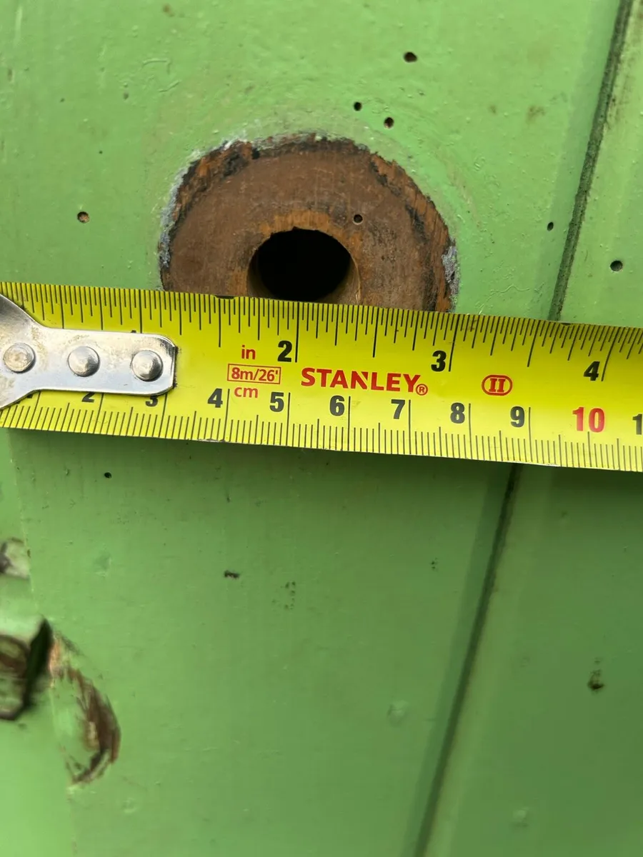 Antique painted pine farmhouse pantry cupboard - Image 4