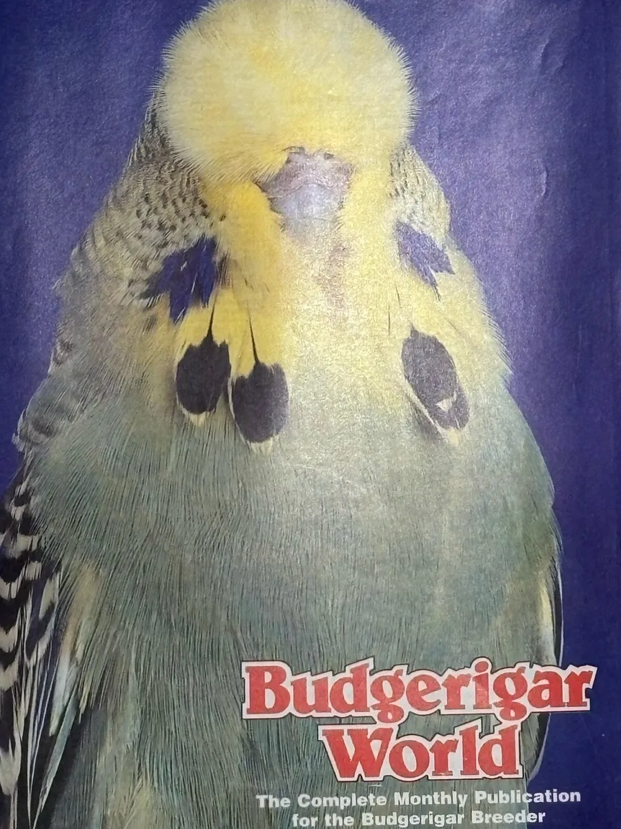 Budgerigar World Magazine 1999 to 2010 For Sale