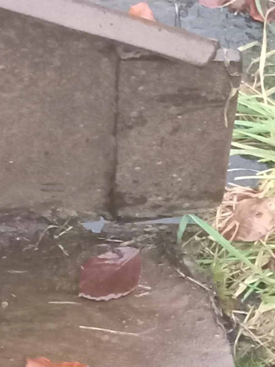 Transport box - Image 4