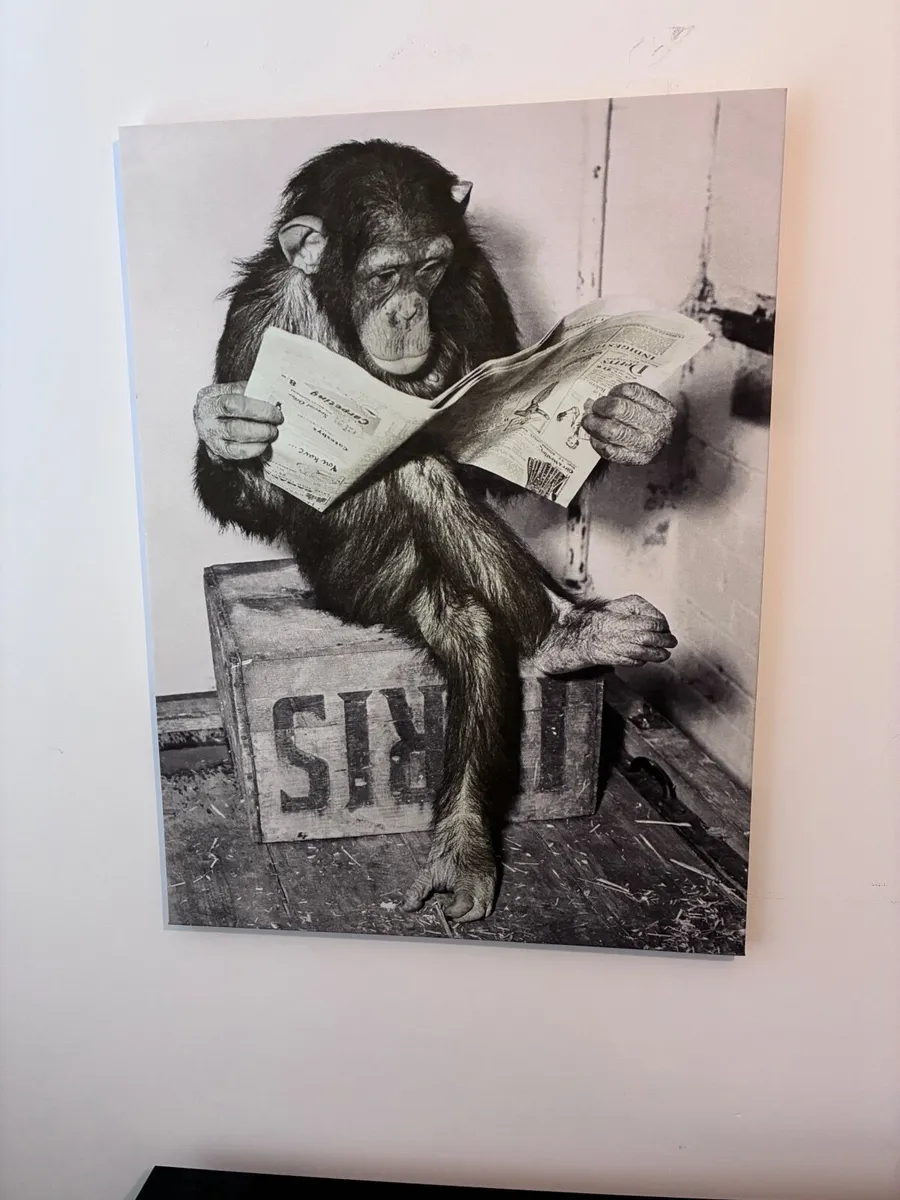 Canvas Print Monkey - Image 1