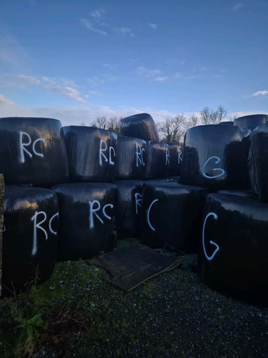 Bales for sale - Image 2