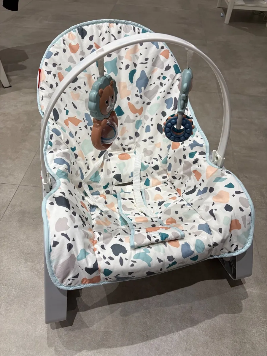 Fisher-Price Infant to Toddler Portable Baby Seat - Image 1