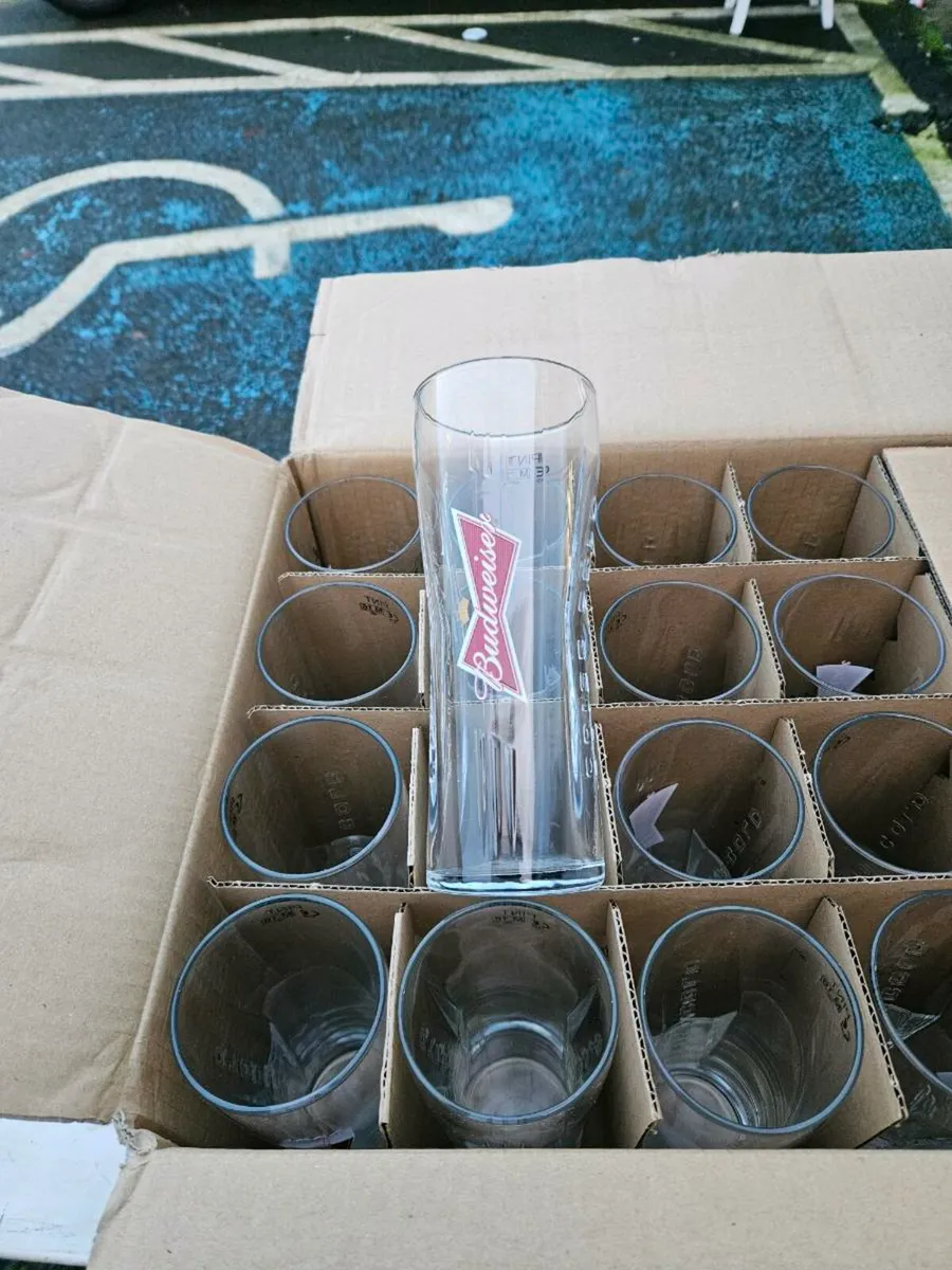 Guinness Budweiser Pint Glasses - Image 2