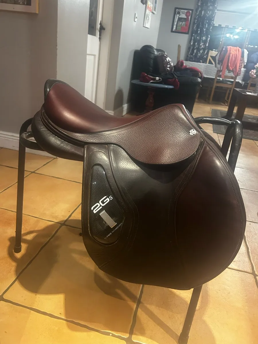 Cwd saddle - Image 4