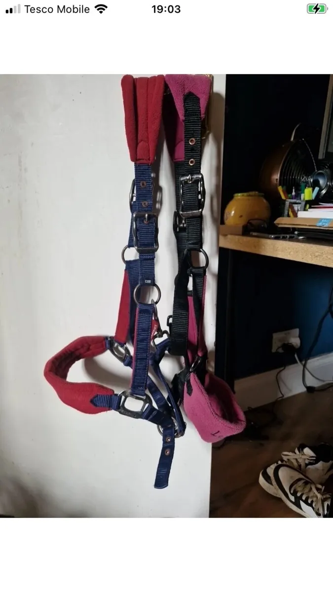 Lemieux head collars - Image 1