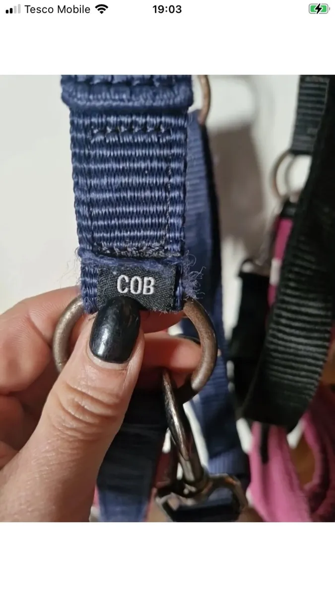 Lemieux head collars - Image 2