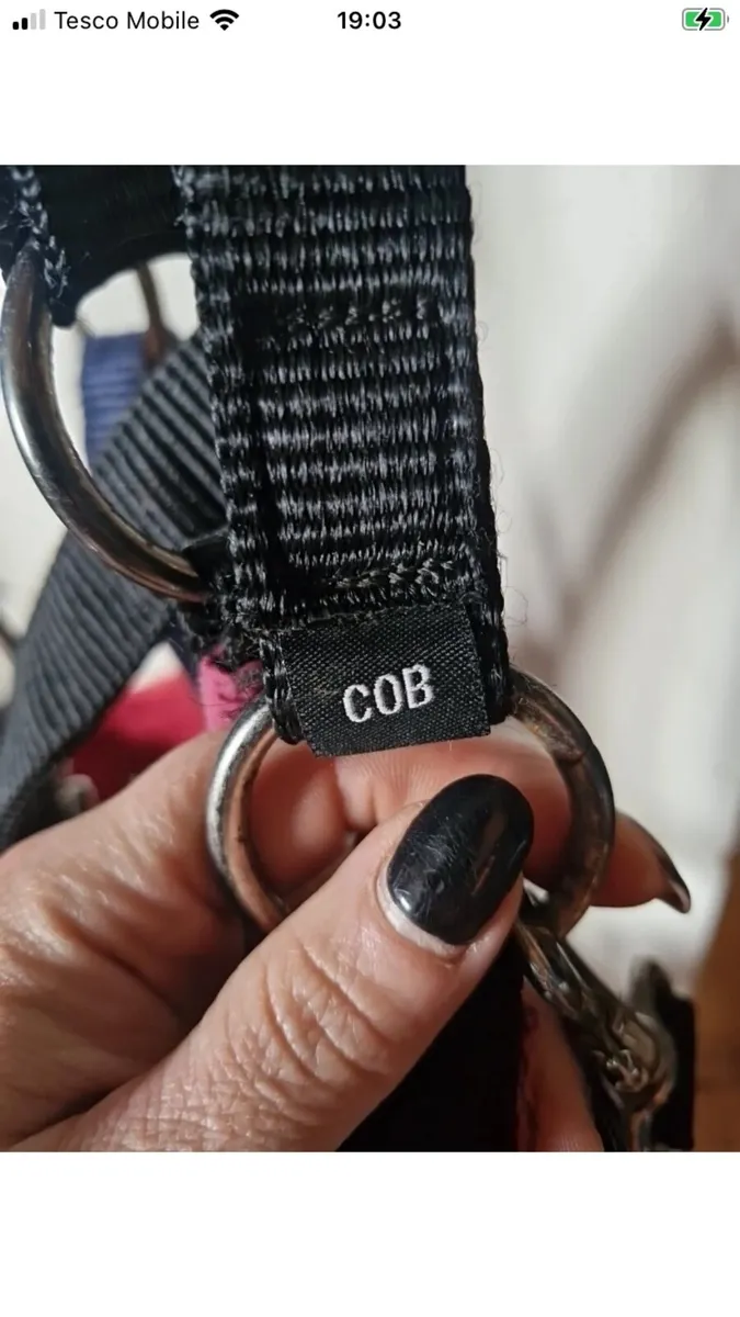 Lemieux head collars - Image 3