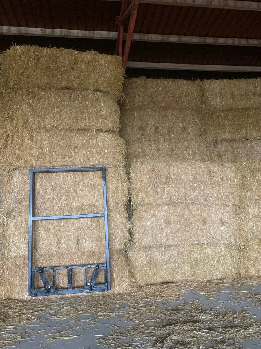 Barley straw and hay - Image 1
